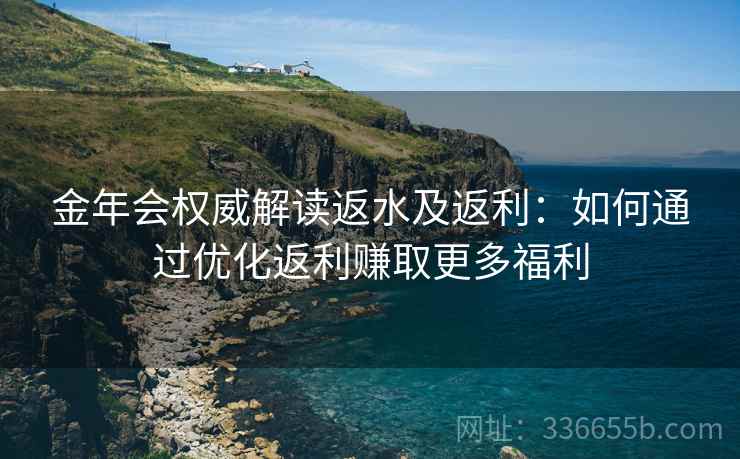 金年会权威解读返水及返利：如何通过优化返利赚取更多福利  第2张