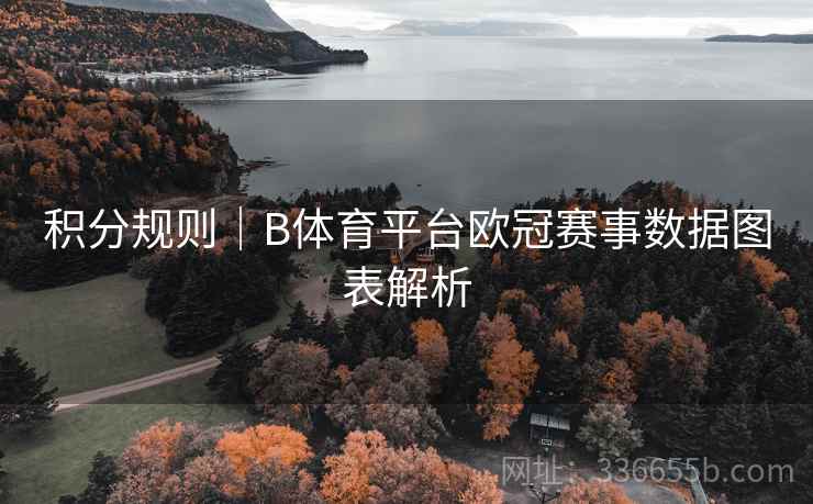 积分规则｜B体育平台欧冠赛事数据图表解析  第2张