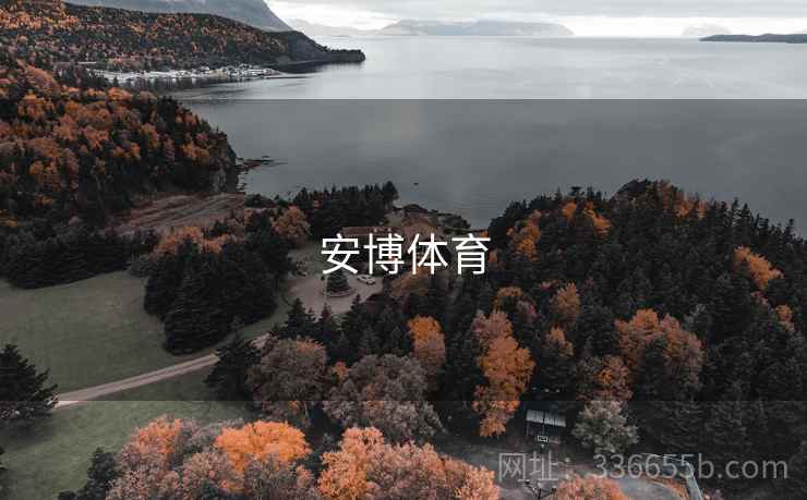 安博体育 第2张