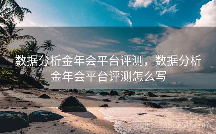 数据分析金年会平台评测，数据分析金年会平台评测怎么写