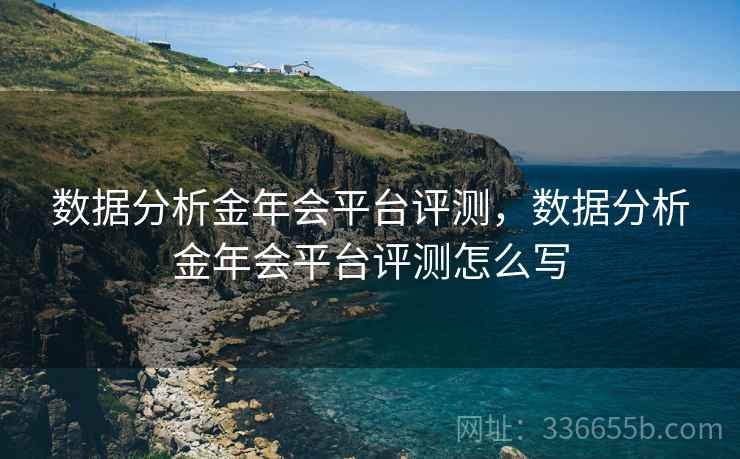 数据分析金年会平台评测，数据分析金年会平台评测怎么写