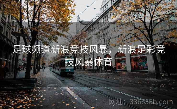 足球频道新浪竞技风暴，新浪足彩竞技风暴体育