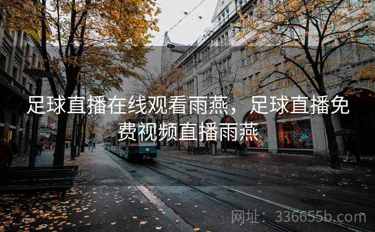 足球直播在线观看雨燕，足球直播免费视频直播雨燕  第2张