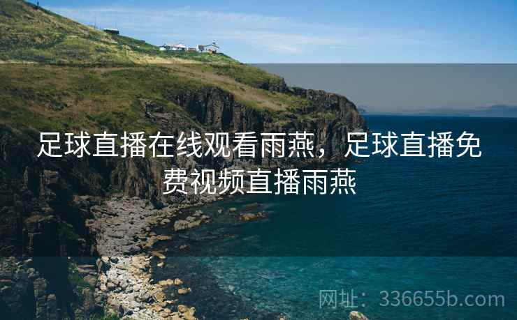 足球直播在线观看雨燕，足球直播免费视频直播雨燕  第1张