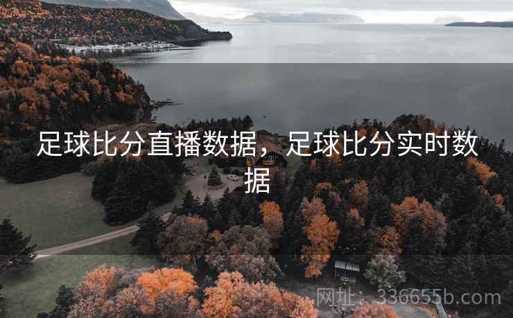 足球比分直播数据，足球比分实时数据  第1张