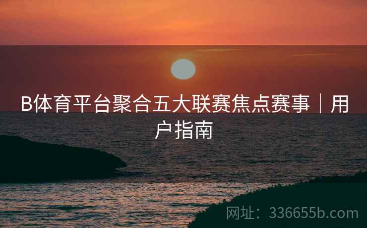 B体育平台聚合五大联赛焦点赛事｜用户指南  第2张