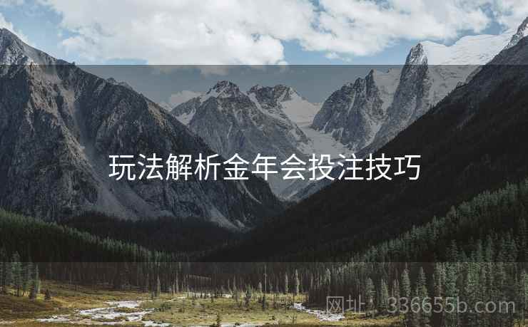 玩法解析金年会投注技巧