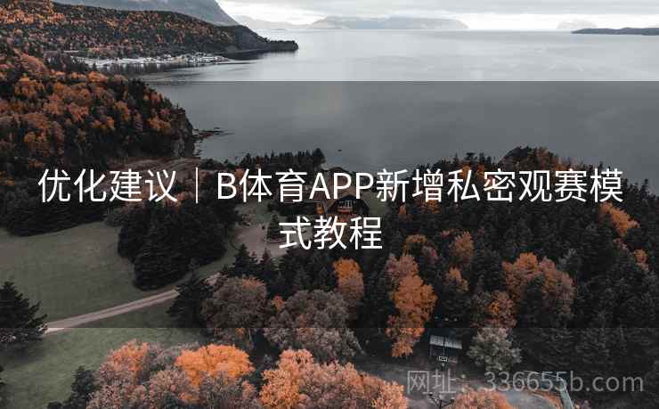 优化建议|B体育APP新增私密观赛模式教程